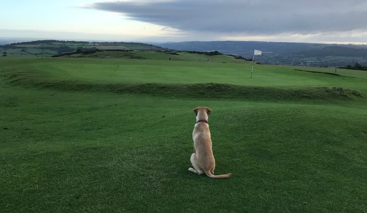 The community can SAVE CLEEVE HILL GOLF COURSE. But don’t expect Tewkesbury Borough Council or any local politicians to do it on their&nbsp;own