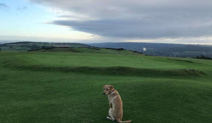 A 10-point plan to begin SAVING CLEEVE HILL GOLF&nbsp;COURSE