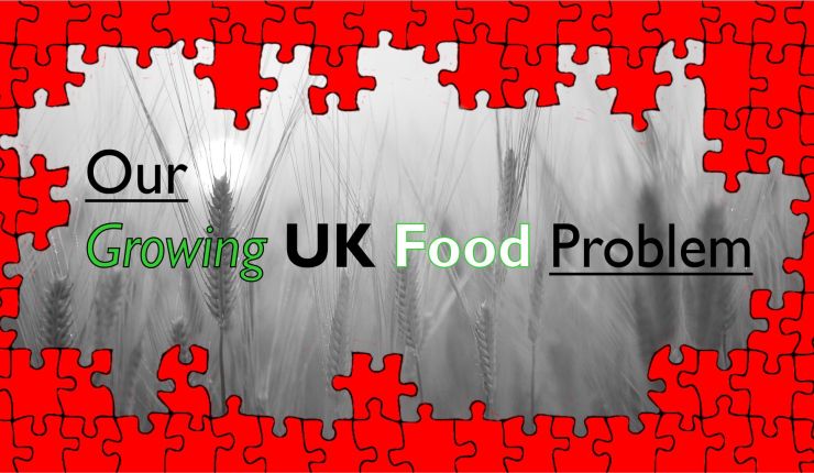 The Growing UK Food Crisis