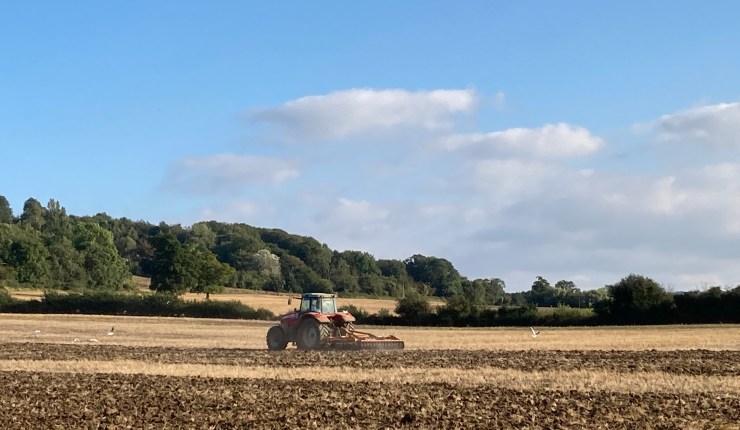 Is anyone reading the deeper messages from the Red Tractor&nbsp;dispute?