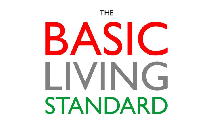 The Basic Living Standard |&nbsp;Book